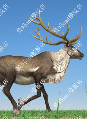 驯鹿模型动画驯鹿3d模型objfbxmaya驯鹿3dsmaxue4 blende c4d驯鹿