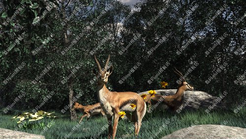 c4d羚羊骨骼绑定模型objfbx3d素材maya3dsmax虚幻4ue4 blende羚羊