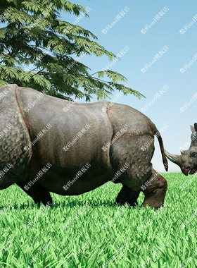 c4d犀牛骨骼绑定模型objfbx3d素材maya3dsmax虚幻ue4blende犀牛