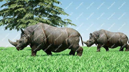 c4d犀牛骨骼绑定模型objfbx3d素材maya3dsmax虚幻ue4blende犀牛