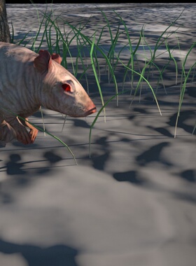 老鼠骨骼绑定模型objfbx3d素材maya3dsmax虚幻4ue4blende C4D老鼠