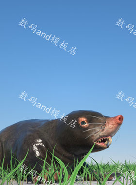 鼹鼠3d模型动画 maya鼹鼠3dsmax虚幻 ue鼹鼠 blender鼹鼠 c4d鼹鼠