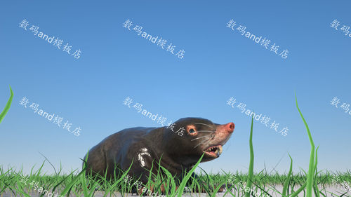 鼹鼠3d模型动画 maya鼹鼠3dsmax虚幻 ue鼹鼠 blender鼹鼠 c4d鼹鼠