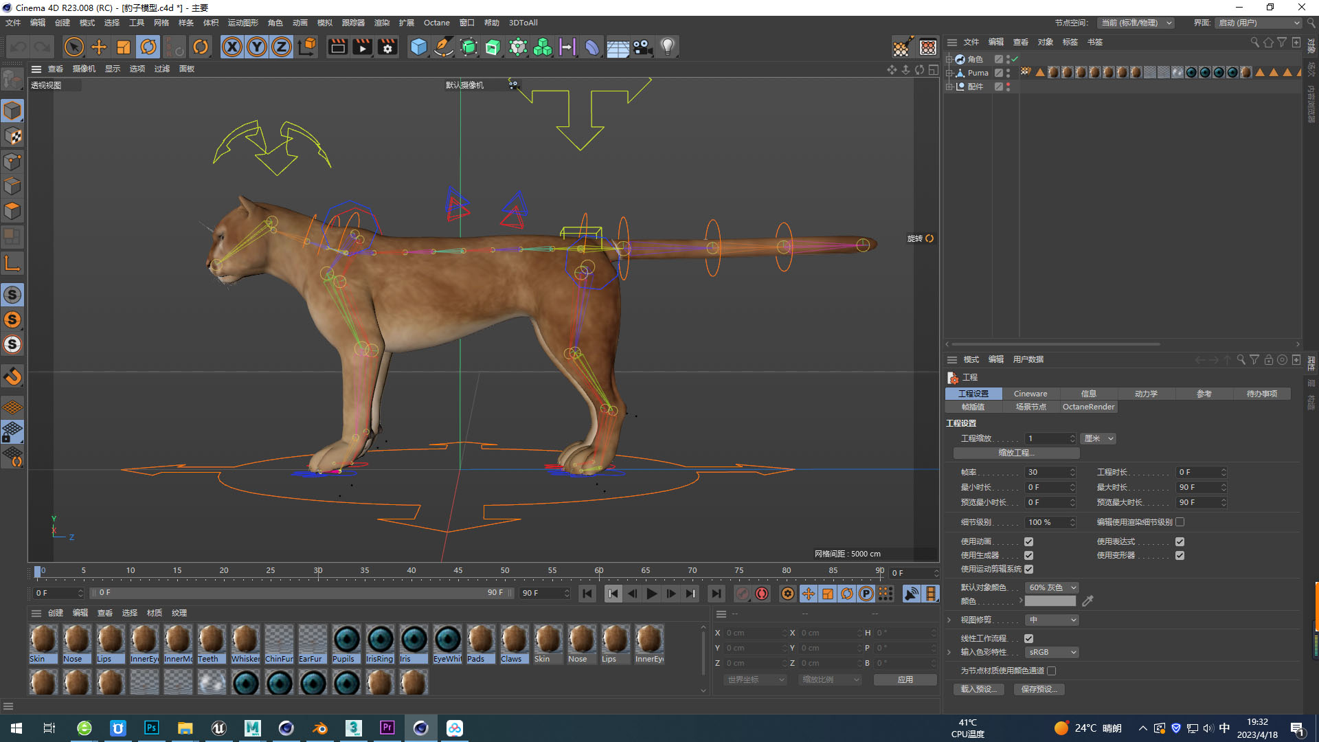 c4d豹子模型带绑定带控制器豹子三维模型c4d豹子3d模型怎么看?