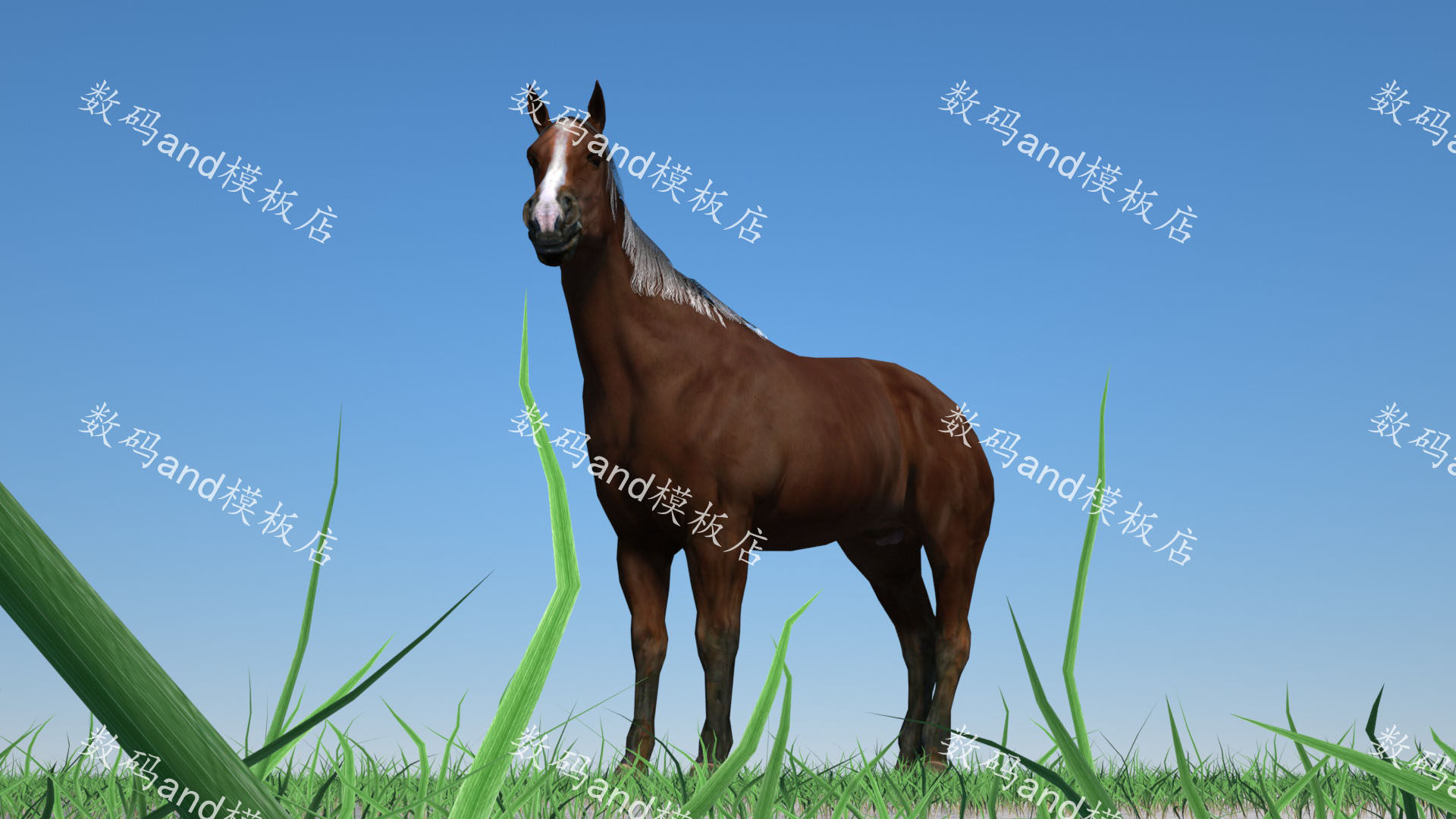 马模型带动画 3d马模型素材obj,fbx,maya马绑定 3dsmax马,c4d褐马