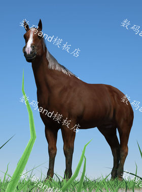 马模型带动画 3d马模型素材obj,fbx,maya马绑定 3dsmax马,c4d褐马