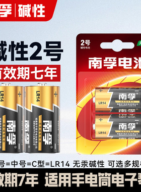 南孚2号碱性电池二号lr14中号1.5v面包超人花洒费雪玩具收音机用