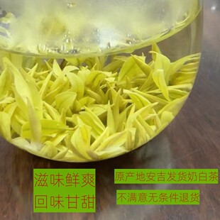 2025年新茶明前茶叶安吉黄金芽奶白茶叶白茶明前茶250g礼盒装
