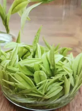 2025年新茶A988款正宗安吉原产地白茶明前茶50g一芽一叶买2送杯子