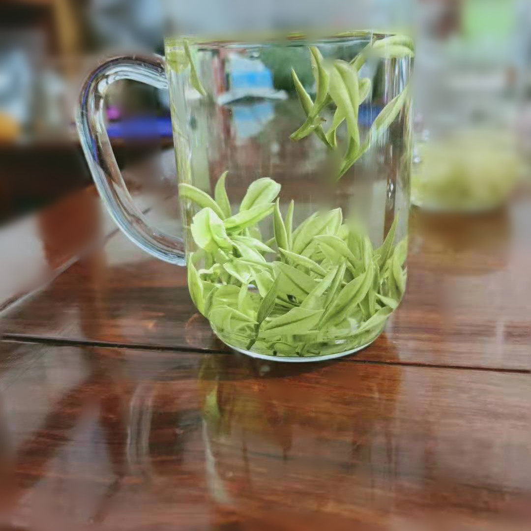 溪龙 2023年新茶安吉白茶125克明前茶一级茶叶珍稀绿茶正宗原产地