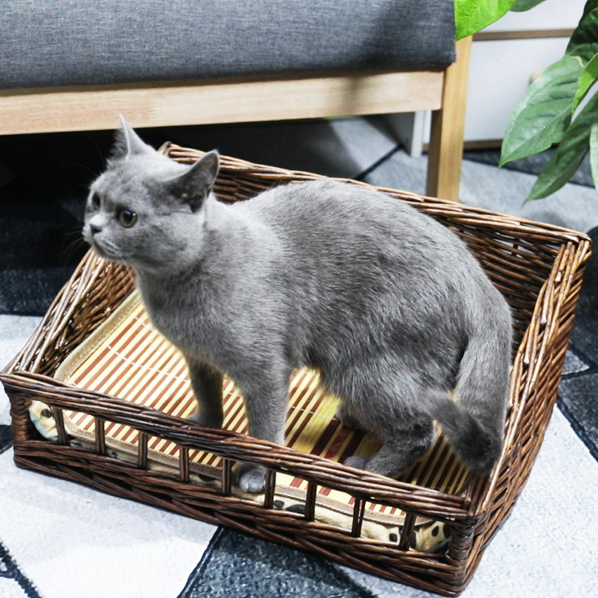 猫窝藤编四季通用夏天猫咪凉床小型犬狗床宠物窝易清洗蓝猫待产窝,宠物/宠物食品及用品,猫窝/屋/帐篷/沙发,淘宝优惠券,粉丝福利购,淘宝优惠卷