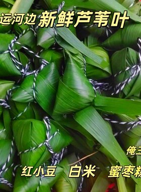 传统粽子手工芦苇叶四角徐州口味苏北特产风味端午节糯米香米