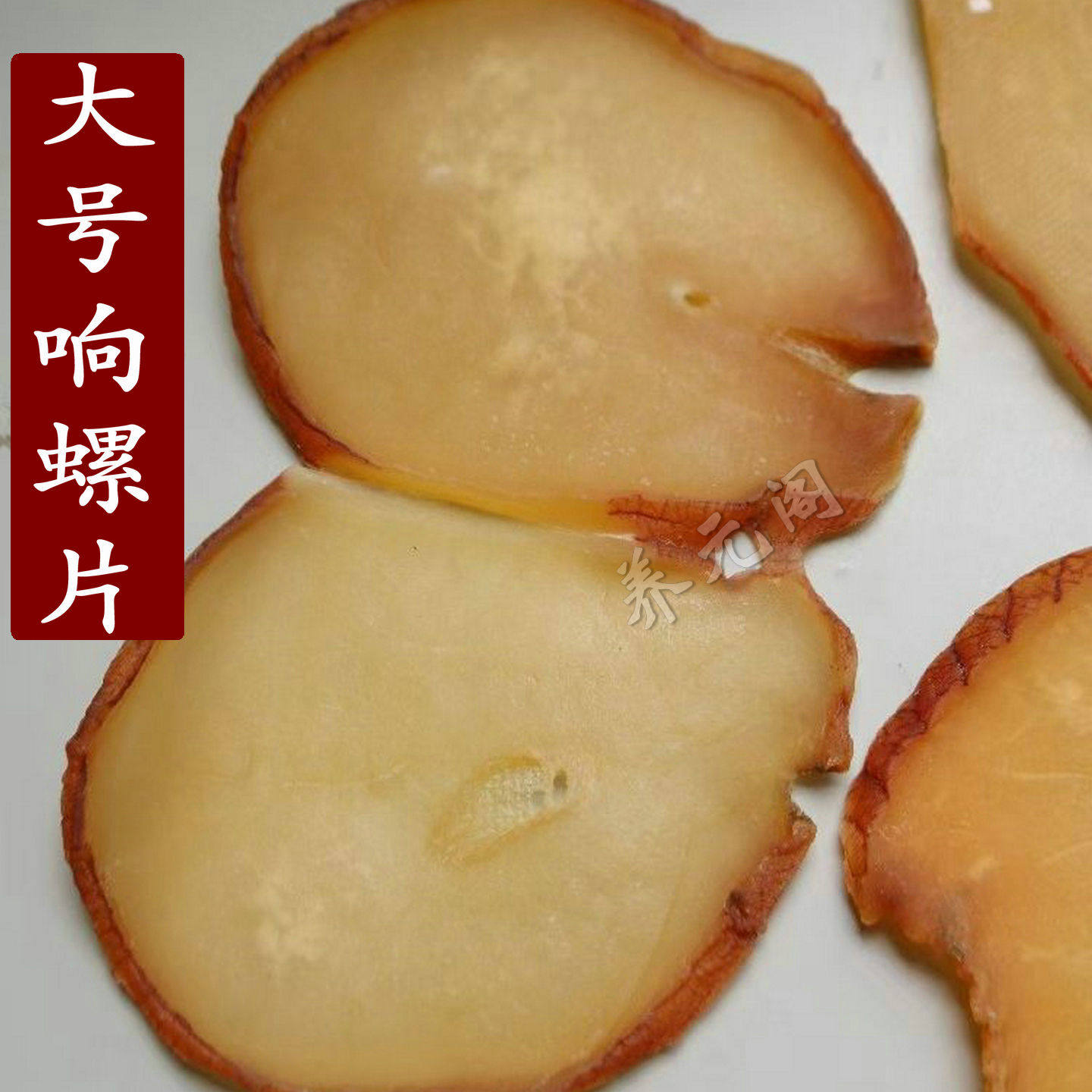 响螺片淡干螺新鲜海产品干货煲汤海鲜500g原只螺肉螺头螺片海螺肉