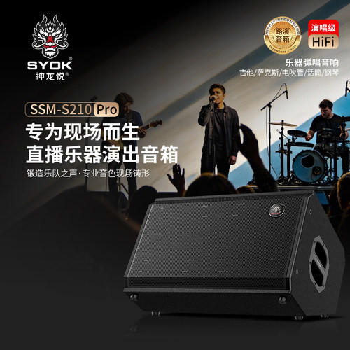 神龙S210PRO弹唱演出音响