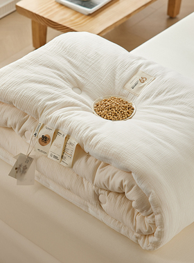 软绵A类全棉双层纱被芯大豆纤维被柔软加厚保暖冬被子母被四季被