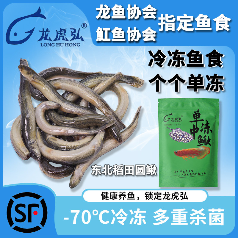 龙虎弘单冻圆鳅条冷冻鱼食龙鱼虎鱼魟鱼雷龙龟粮河虾泥鳅丁鱼麦穗