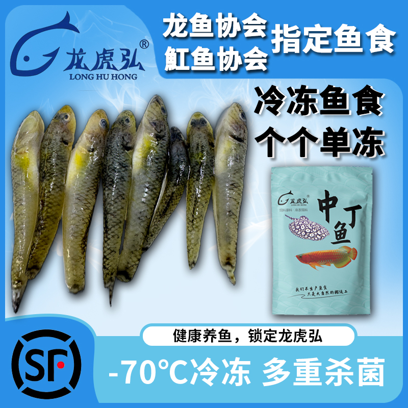 下沉虾虎鱼山根鱼龙虎弘龙虎魟