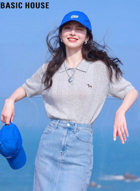 Basic House/百家好灰色天丝薄款刺绣短袖针织衫女夏超火冰丝上衣