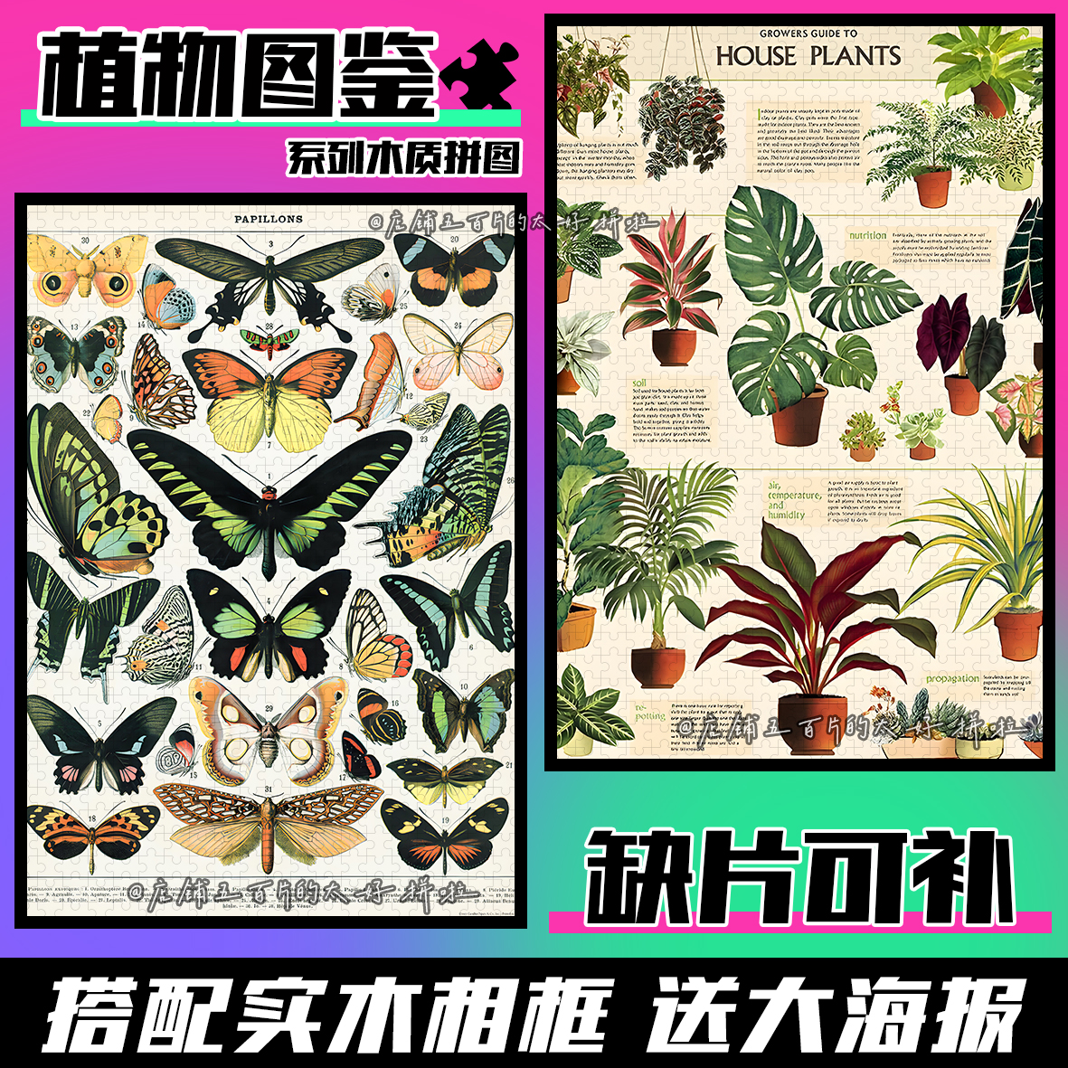 cavallini复古植物动物图鉴拼图1000片带框成人解压生日礼物玩具