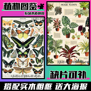 cavallini复古植物动物图鉴拼图1000片带框成人解压生日礼物玩具