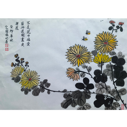 定阐杨明花鸟国画菊花，35×46