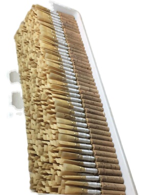 ZJREEDS 专业学生哨片