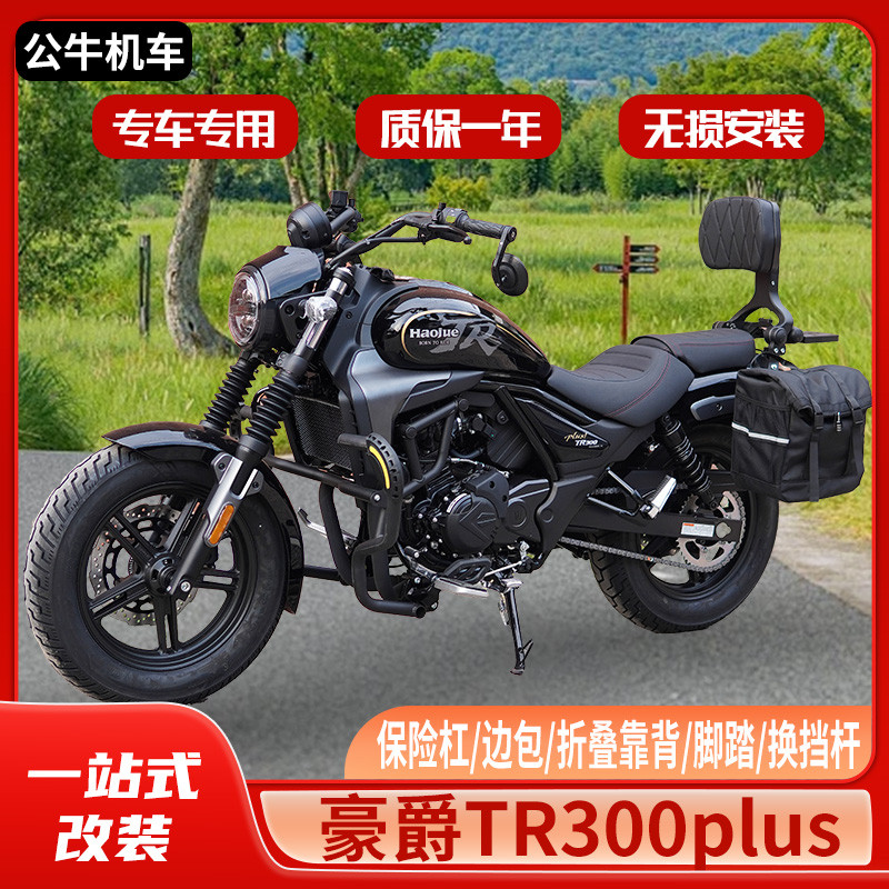 适用豪爵TR300plus改装件护杠保险杠边包折叠靠背手把镜手机支架