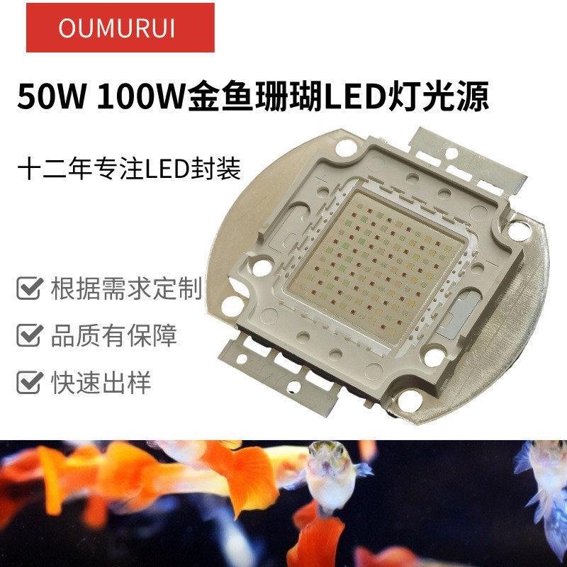 50wled灯珠 100w水族灯光源 鱼缸水草led珊瑚 龙鱼海水灯高功率显