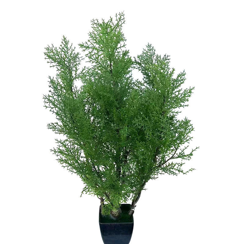 仿真植物盆栽圆柏树绿植圣诞叶盆栽柏树罗汉松盆栽造景室内装饰