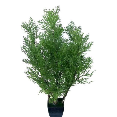仿真植物盆栽圆盆栽绿植圣诞叶柏树柏树罗汉松盆栽室内装饰造景