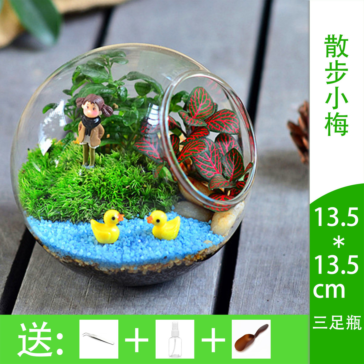 套装苔藓微景观玻璃瓶创意礼品办公室绿植diy迷你盆栽批发