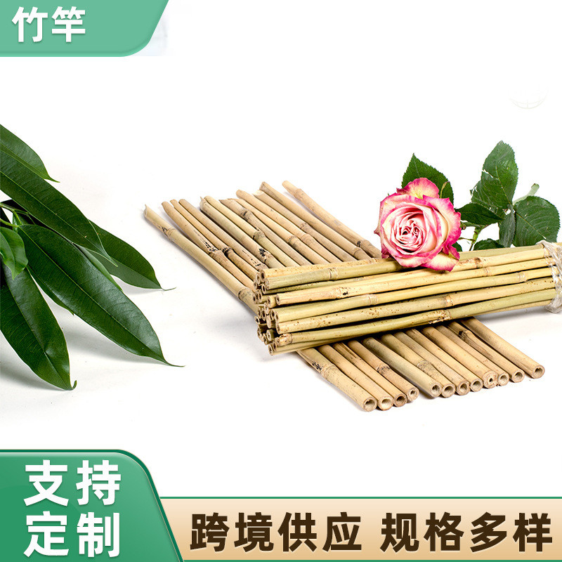 供应园艺支撑撑竿盆栽植物花卉支竹竿果蔬爬藤架园艺工具