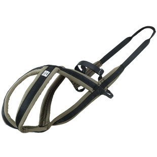 宠物牵引绳透气清爽狗狗胸背带外出防丢脖套耐磨防挣脱遛狗绳遛狗