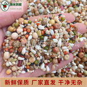 枭龙鸽粮幼鸽信鸽赛鸽aaa营养饲料鸽子食鸟食观赏鸽50斤