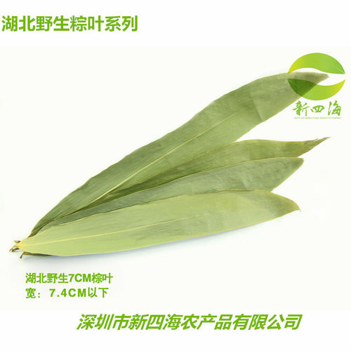 端午粽叶38-40斤包装粽发包箬竹粽叶一件批子叶粽子叶子量大从优