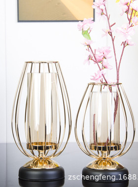 居家装饰铁艺花瓶电镀金色水培植物绿植培养摆件办公桌面花瓶容器