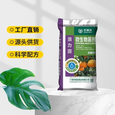 微生物菌剂有机肥广西肥料菌有效活厂家2亿60%粉状
