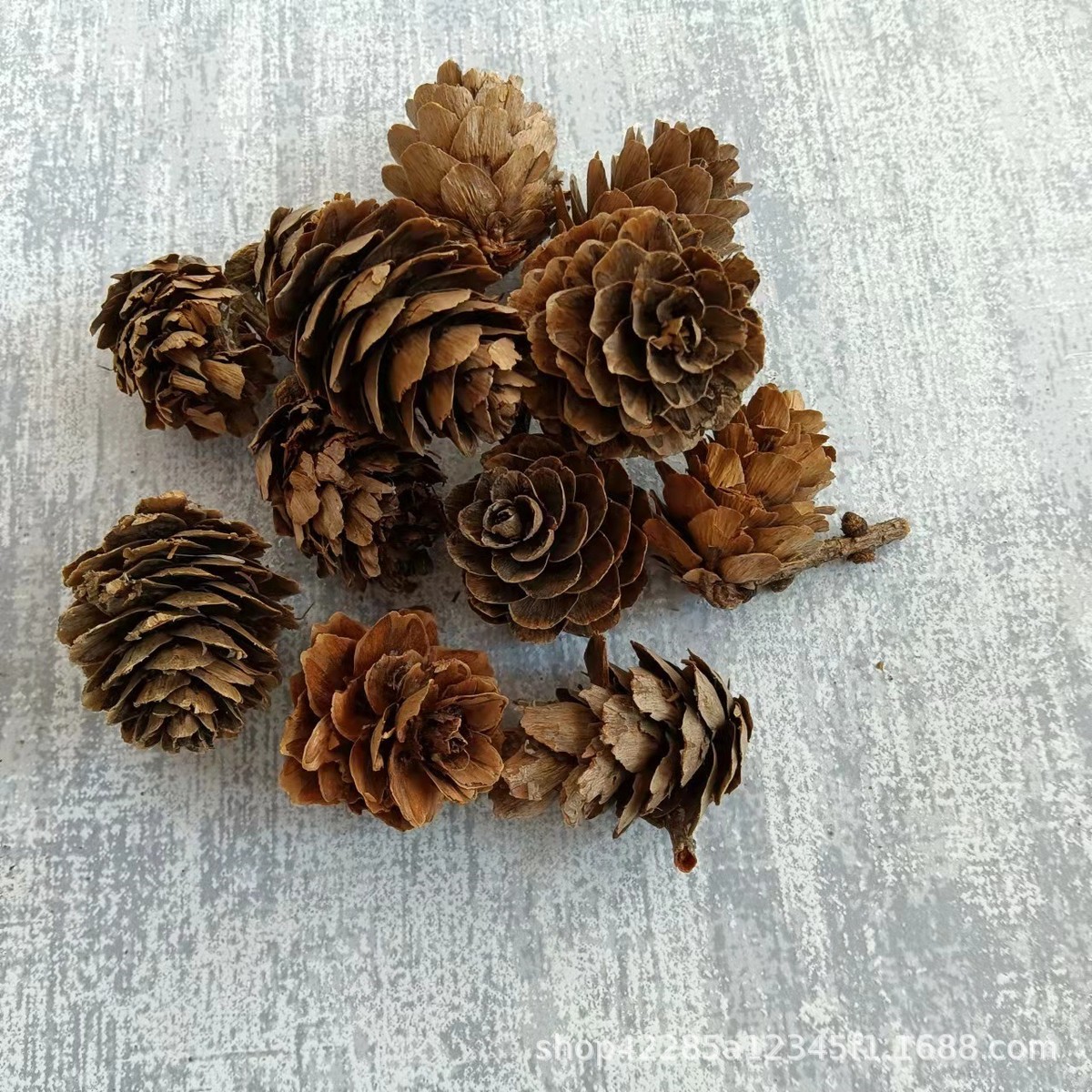 玫瑰松果白油松果松塔批发手工diy工艺品装饰拍摄道具油松果挂件