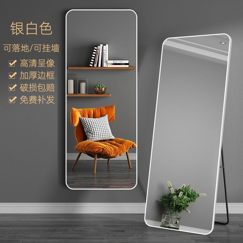化妆全身镜落地式家用挂墙ins卧室少女宿舍用网红镜子试衣穿衣镜