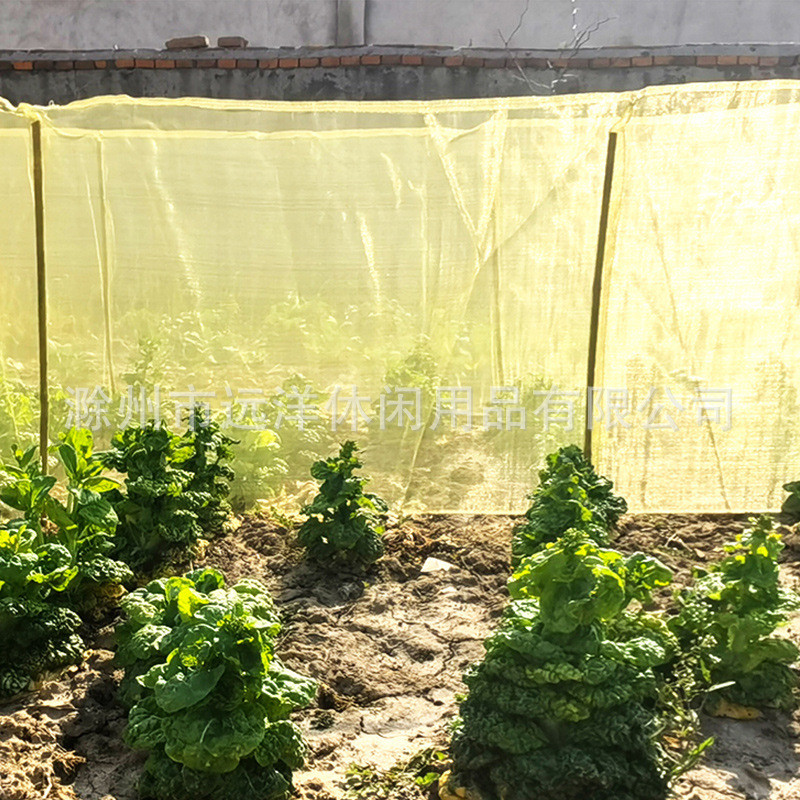 菜园泥地竹竿蔬菜围挡保护植物围栏防止动物踩踏啃咬