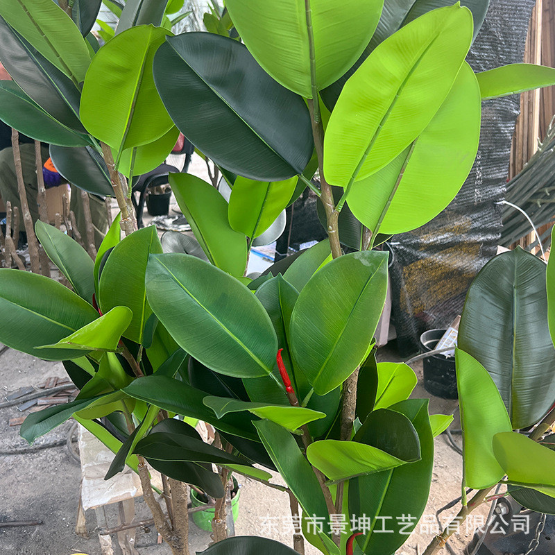 仿真橡皮仿真室内客厅落地盆栽服装店橱窗绿色假植物琴叶榕榕橡树