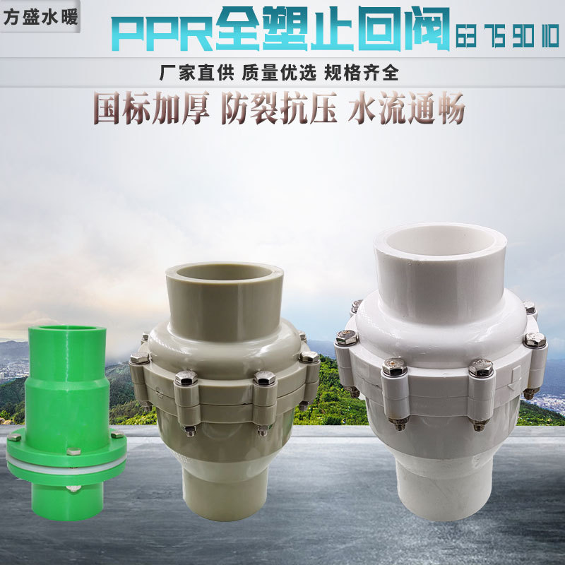 PPR全塑止回阀63 75 90 110