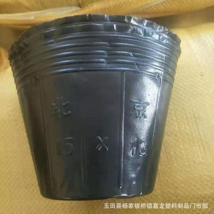 批发长方形营养钵加厚营养钵营养杯变形柑橘不易塑料营养杯