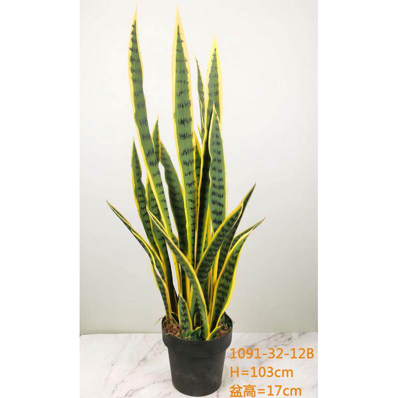 仿真植物金边虎皮兰盆栽民宿装饰造景热带摆件假绿植黄尾兰龙舌兰