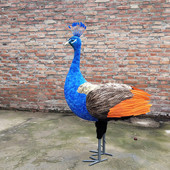 布景仿真孔雀身体摆件花艺孔雀身体厂家直销装 饰插画孔雀模型道具