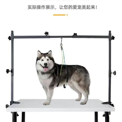 定制美容台龙门架吊杆狗美容桌固定器不锈钢大支架猫狗修剪架