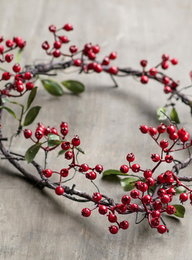 曼珠浆果藤1米红色壁仿真挂果藤婚庆摄影道具装饰藤条