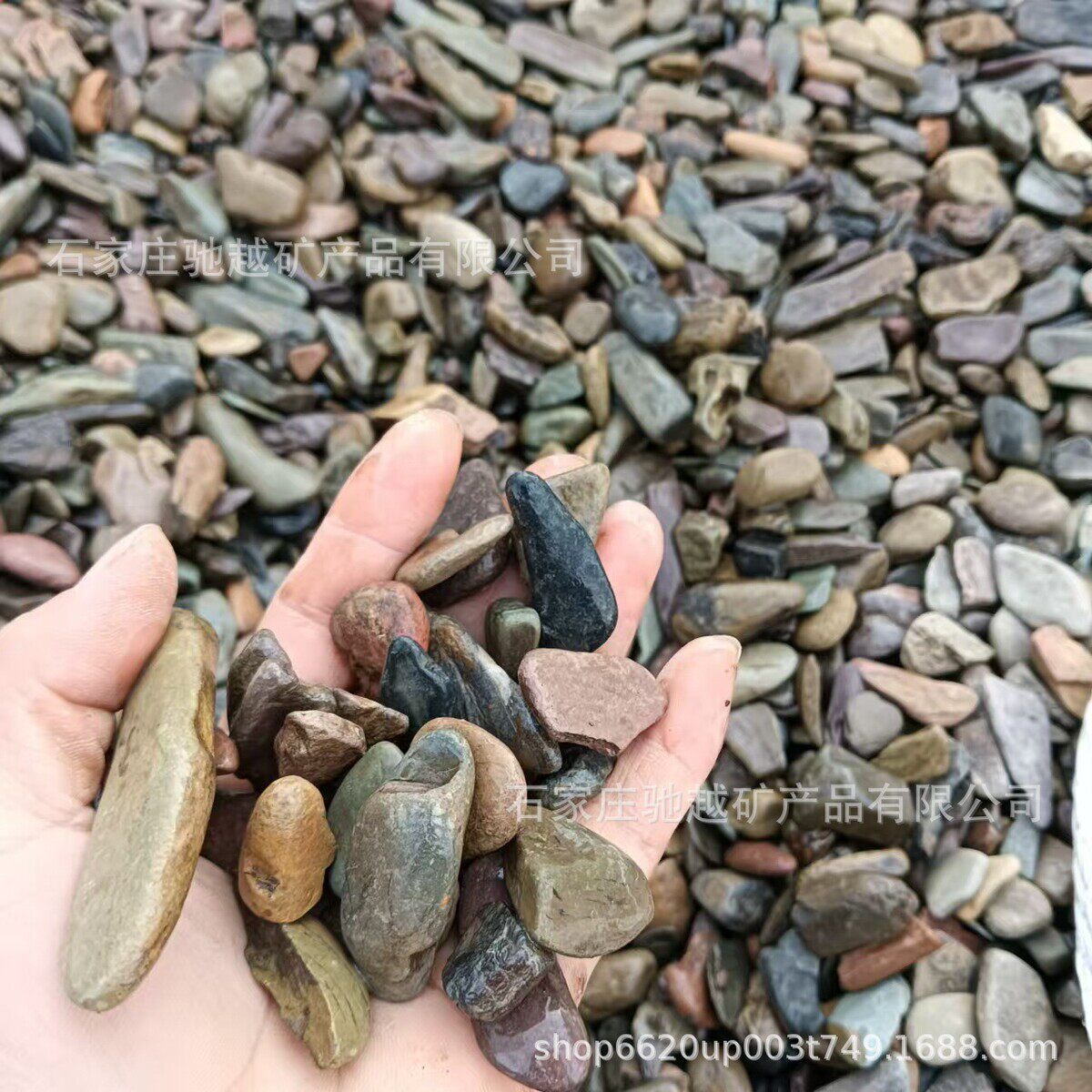 原生溪砂鱼缸造景水族造景装饰底流石原生缸增色溪流砂大叽砂片岩