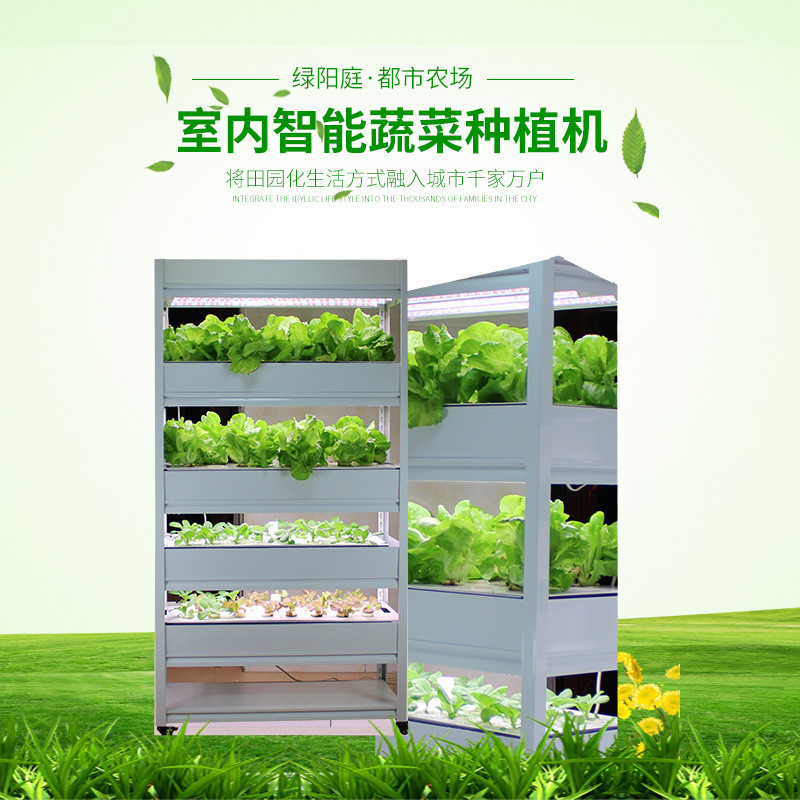 无土栽培家庭种花种菜有机蔬菜水培智能种植设备水耕种菜机柜
