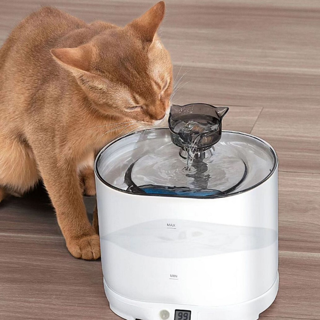 pet宠物饮水机智能自动循环过滤猫咪饮水器喂水器狗狗喝水器